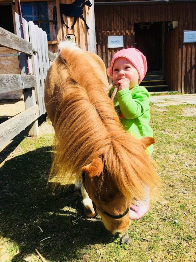 Pension Vorberghof- Bauernhofurlaub Ramsau am Dachstein Buitenkant foto